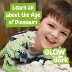 Fossil Excavation Kit I. Edukativna igra za djecu - Assorted