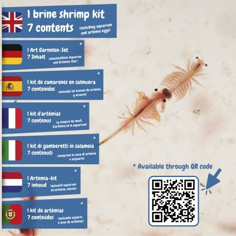 Jurassic Pets Kit I. &Epsilon;&kappa;&pi;&alpha;&iota;&delta;&epsilon;&upsilon;&tau;&iota;&kappa;ό &pi;&alpha;&iota;&chi;&nu;ί&delta;&iota; &gamma;&iota;&alpha; &pi;&alpha;&iota;&delta;&iota;ά - &Mu;ί&xi;&eta;