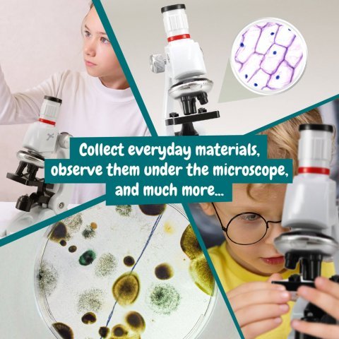 MICROSCOPE. Obrazovna igra za decu - Assorted