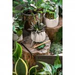 INFINITY. Olovka bez tinte od bambusa s vrhom od grafitom