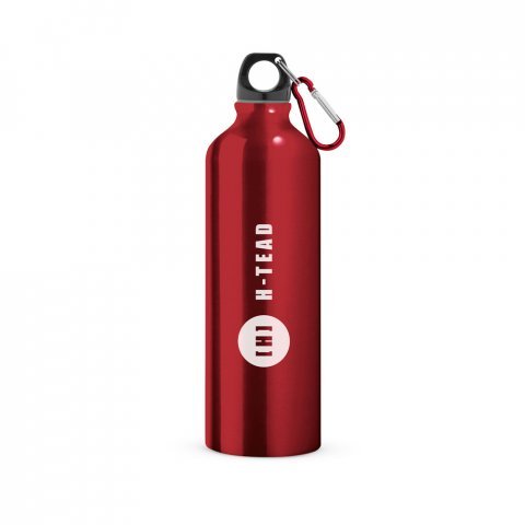 LANDSCAPE L. Sportflaska i aluminium med karbinhake 800 mL - R&ouml;d