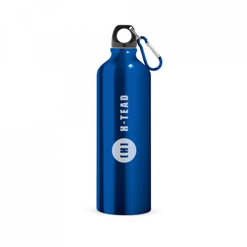 LANDSCAPE L. Sportflaska i aluminium med karbinhake 800 mL - Kungsbl&aring;