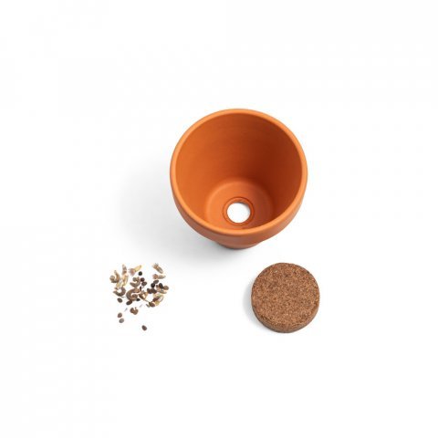 ANETHUM. Gliniana doniczka z nasionami koperku - Naturalny