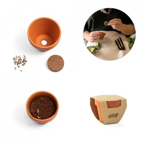 ANETHUM. Gliniana doniczka z nasionami koperku