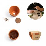 ANETHUM. Gliniana doniczka z nasionami koperku